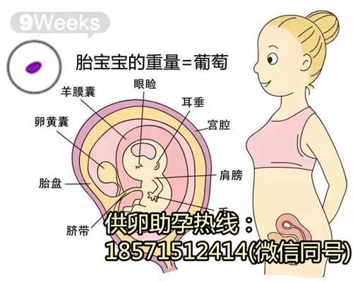 深圳助孕中心多少钱,备孕期间吃什么好补卵子